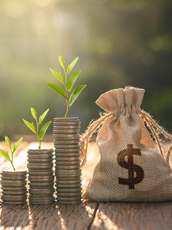 Stacks of coins and a money bag